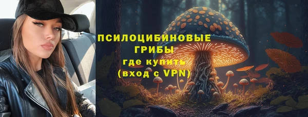 спиды Алексин