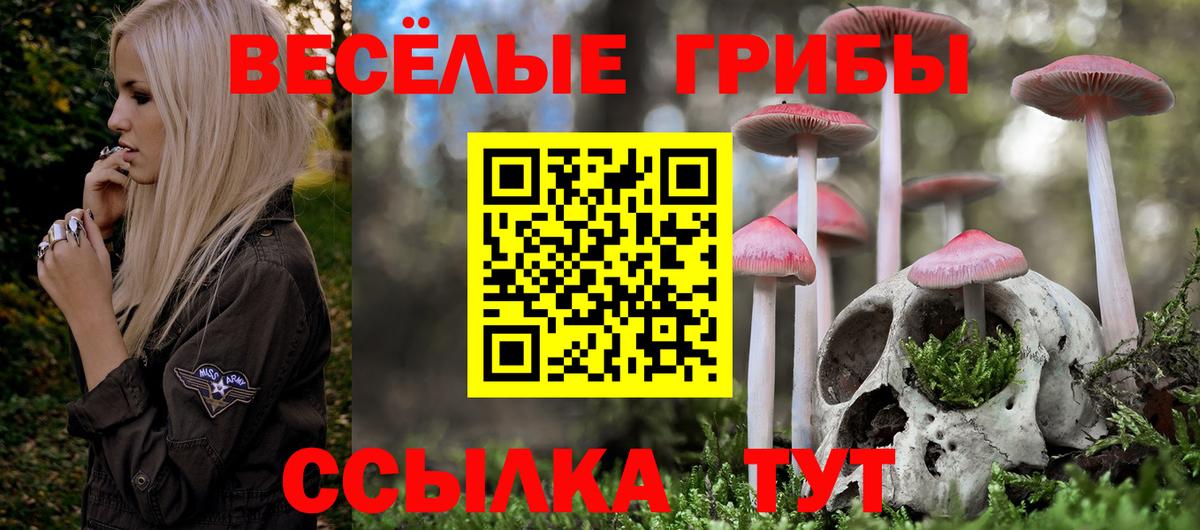 Галлюциногенные грибы MAGIC MUSHROOMS  Вход с VPN  Апшеронск  Псилоцибиновые грибы MAGIC MUSHROOMS 